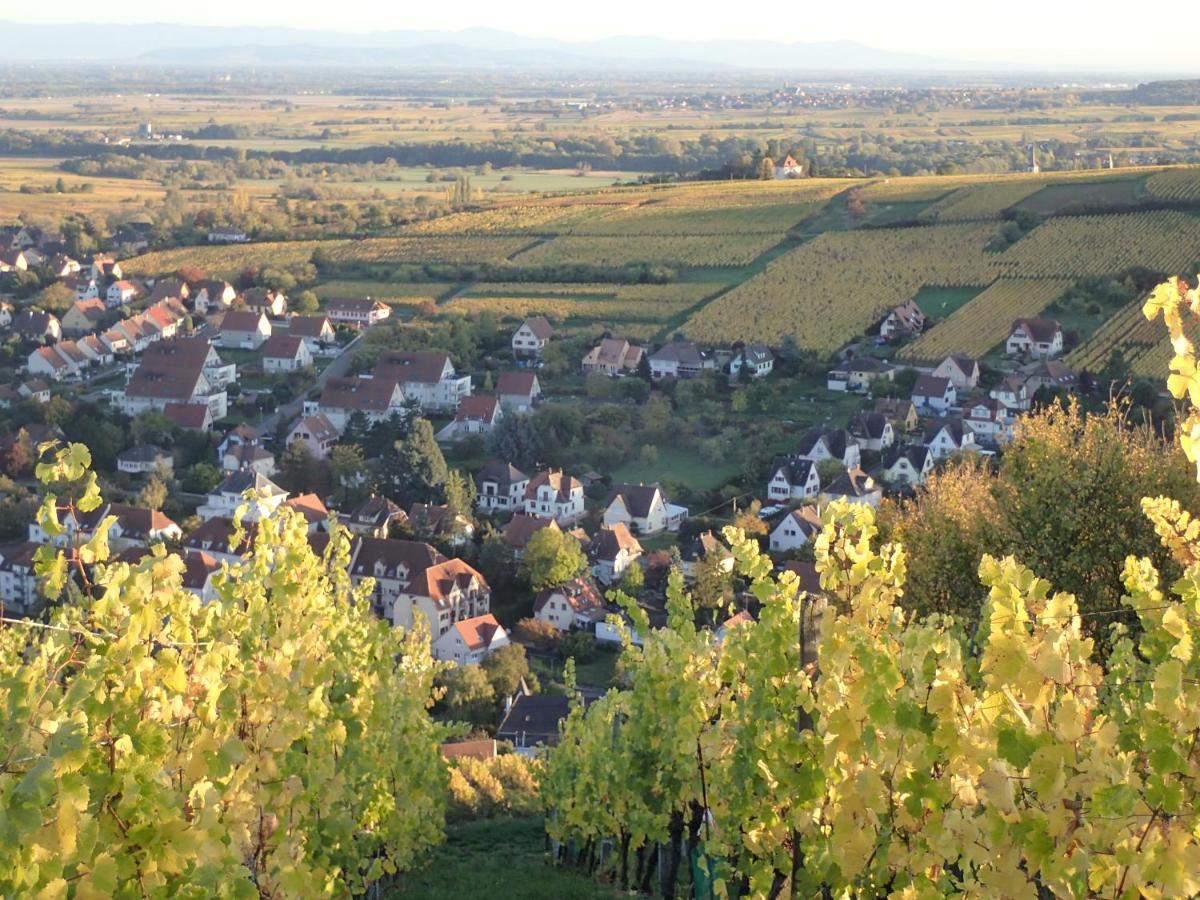 בר Villa/Appartement Au Coeur Des Vignes *** מראה חיצוני תמונה
