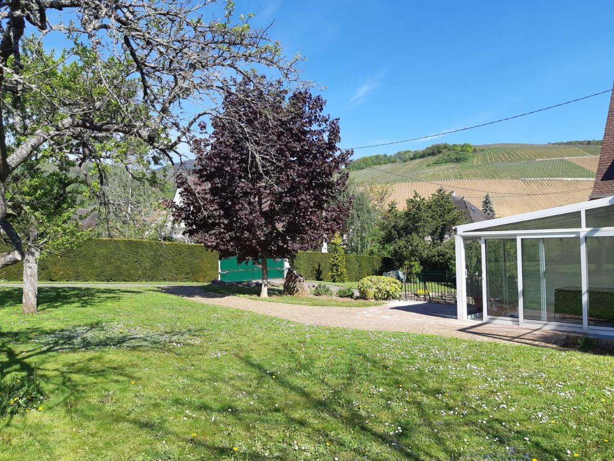 בר Villa/Appartement Au Coeur Des Vignes *** מראה חיצוני תמונה